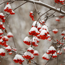 В понедельник татарстанцам обещают небольшой снег, туман и до минус 12