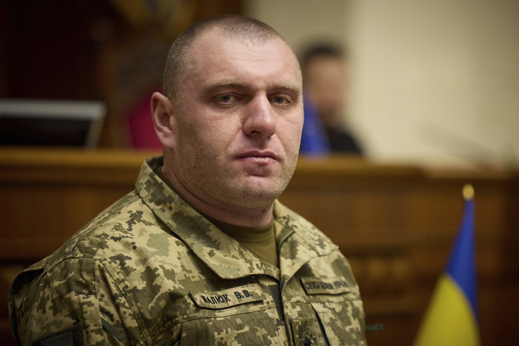 Василий Малюк*