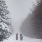 Жителям Татарстана прогнозируют слабую метель и ветер до 14 м/с