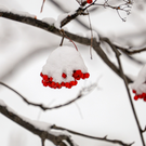 Татарстанцам завтра обещают небольшой снег и до минус 10