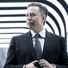 Маск назвал Британию «тюремным островом»