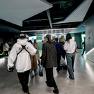 «Чебурашка-2» собрал в прокате за новогодние праздники почти 5 миллиардов рублей