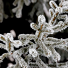 К концу недели в Татарстане обещают до минус 20 градусов