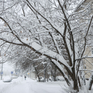 В Казани за новогодние праздники выпало 64% месячной нормы снега