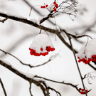 В мэрии Казани назвали управляющие компании, не справившиеся с уборкой дворов в праздники