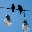 Мэр Киева сообщил о полном блэкауте в городе