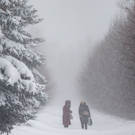 Завтра в Татарстане прогнозируют метель и до минус 15 градусов