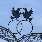 В Казани число браков за год выросло на 2,4%