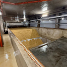 В Татарстане рабочего насмерть зажало ворошителем зерна на производстве