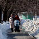 Два крупных российских банка приостановили выдачу семейной ипотеки