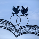 В минмолодежи РТ раскрыли, кто получил гранты на свадьбу