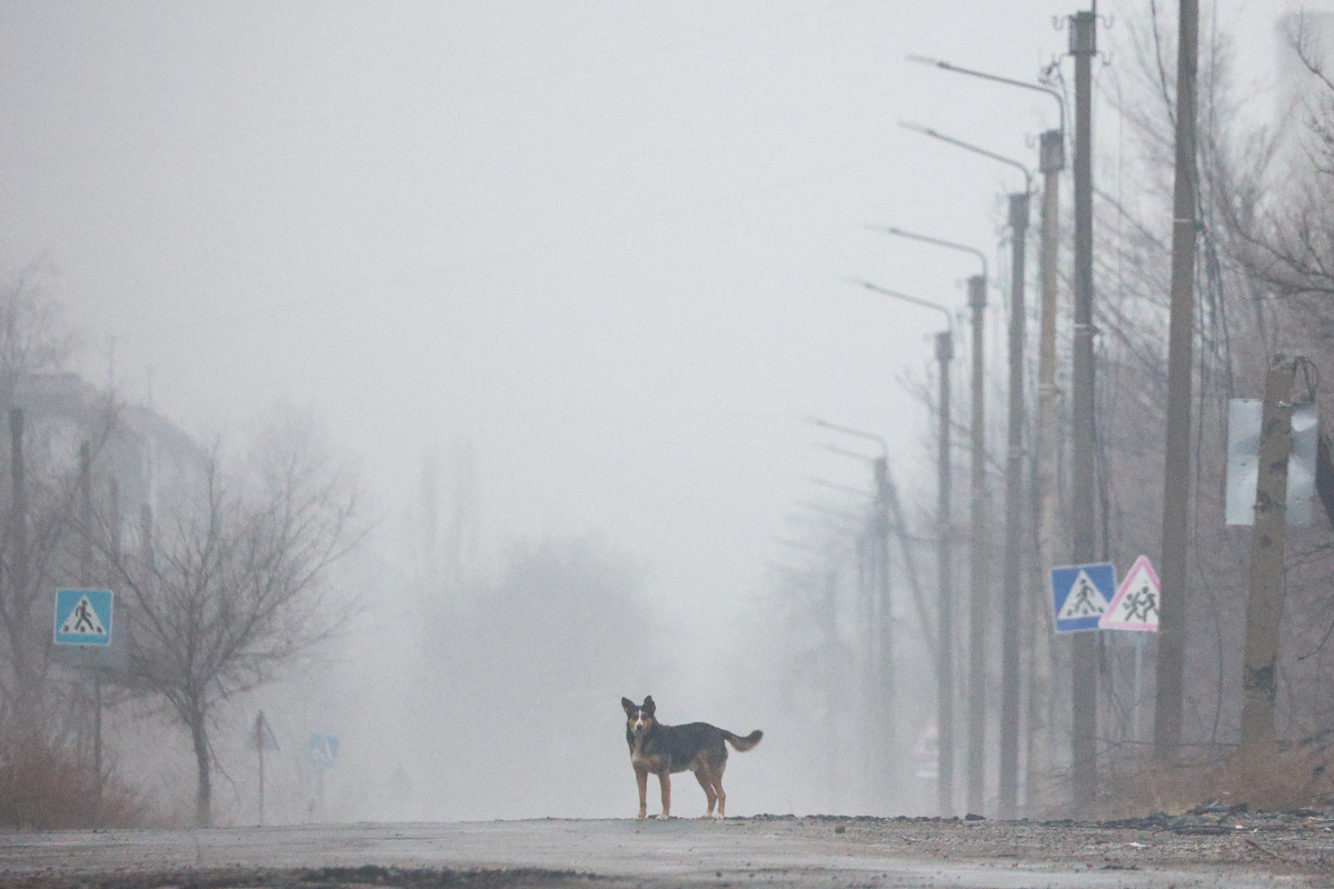 Архивное фото