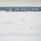 В Татарстане 17 января откроют первую в зимнем сезоне ледовую переправу