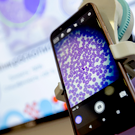 Казанские ученые нашли соединение, уничтожающее раковые клетки с минимальной токсичностью