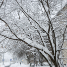 В начале недели татарстанцам обещают слабую метель и до минус 15 градусов