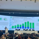 Татарстан обогнал Москву и Петербург по инвестициям в экологию – за 8 лет вложено 107 миллиардов