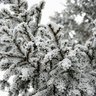 К концу недели в Татарстане похолодает до минус 35 градусов