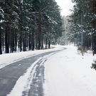 В России лесхозам дали право на заготовку лесных насаждений – пролоббировать поправки много лет пытались лесники РТ