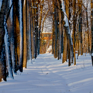 Завтра в Татарстане похолодает до минус 33 – в ГАИ призывают отказаться от дальних поездок