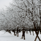 В субботу татарстанцам обещают 35-градусный мороз