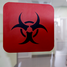 ET: В Индии зафиксировали вспышку смертельного вируса Нипах, от которого нет вакцины