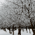 Татарстанцам в пятницу обещают метель со снежными заносами и сильным ветром