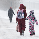 В Казани до понедельника отменили занятия в музыкальных и художественных школах из-за плана «Буран»