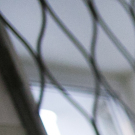 В Подмосковье госпитализировали пациента с подозрением на оспу обезьян