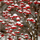 Руководитель «Метео»: снегопады в Казани закончатся сегодня, но вернутся морозы до минус 25