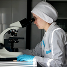 Заболеваемость сифилисом в России за четыре года выросла на 63%