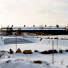 На строительство вольеров для амурских тигров в Казанском зооботсаду выделили еще 9 миллионов