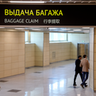 РБК: Генпрокуратура потребовала передать государству систему бронирования «Леонардо»