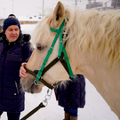 Татарстан направил в ДНР лошадей татарской породы в помощь бойцам СВО