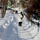 В Татарстане на этой неделе снова прогнозируют снег и до минус 26 градусов