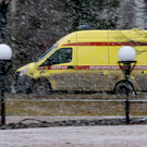 В Васильево собаки напали на пенсионера