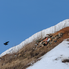 Свалочную электростанцию в Казани выставят на концессионные торги