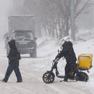 Эксперт предупредил россиян о подорожании доставки еды на 10% из-за новых требований