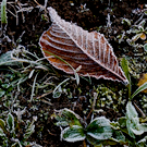 В Татарстане прогнозируют плюсовую температуру и ветер до 22 м/с