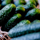 ФАС проверит обоснованность роста цен на огурцы – в РТ они подорожали на 60% с конца декабря