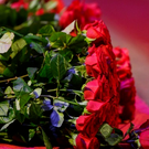 На 101-м году жизни умер Рой Медведев – его называли величайшим историком