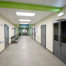 В Татарстане больничные начнут закрывать через мессенджер Max