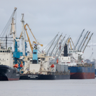 Немецкий ледокол застрял во льдах Арктики – его может спасти только российский атомоход под санкциями