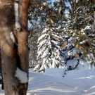 В Татарстане завтра ожидается похолодание до минус 23 градусов и слабая метель ночью