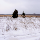 «Бесхозных земель быть не должно»: Мухаметшин попросил разобраться с пустыми сельхозугодьями в Татарстане