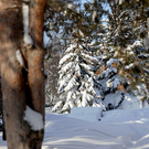 В Татарстане в субботу вновь прогнозируются снег и метель
