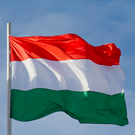 СМИ: Киев может потерять займ МВФ из-за вето Венгрии на кредит