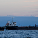 США требуют Киев прекратить атаки на нефтяные объекты в РФ, затрагивающие американские интересы