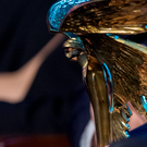 Безруков, Борисов и Хабенский поборются за премию «Ника»