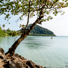 СМИ: Пляжи популярного курорта в Таиланде покрылись мазутом