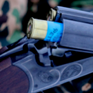 В Татарстане утвердили календарь охоты на 2026 год